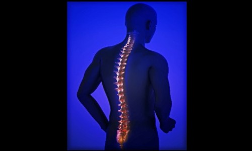 injuries_and_diseases_of_spinethumbnail_66044b3534e6a.jpg